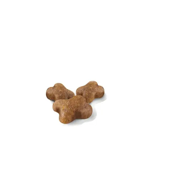 غذای خشک بچه گربه رویال کنین کیتن ROYAL CANIN KITTEN 400G